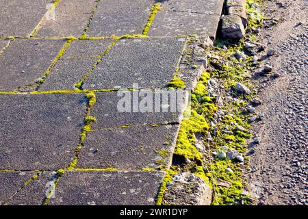 Nahaufnahme eines Bürgersteigs, der von Transportern und Lastwagen beschädigt wurde, die darauf parken, und Risse aus Betonpflaster und einen fehlenden Bordstein zeigen. Stockfoto