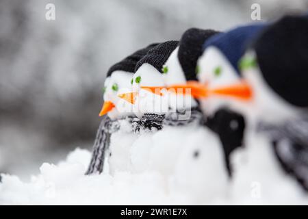 Wunderschöne Schneemänner mit Karottennasen hintereinander, alle für einen Schneeschwintertag in Hüten und Tüchern gekleidet Stockfoto