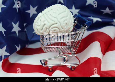 Ein Einkaufswagen mit einem Gehirn, das vor einer amerikanischen Flagge sichtbar ist, symbolisiert die Kreuzung von Konsum und Patriotismus. Stockfoto