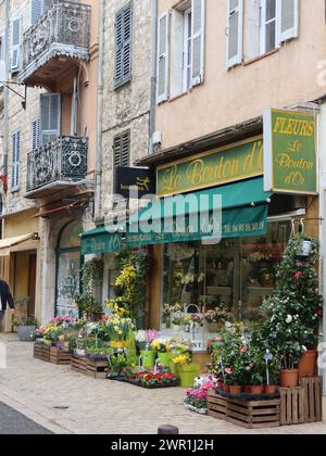 Wunderschöne frische Blumen und Pflanzen werden vor einem Blumengeschäft in einer Kopfsteinpflasterstraße in der historischen Stadt Vence an der französischen Riviera ausgestellt Stockfoto