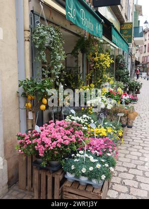 Wunderschöne frische Blumen und Pflanzen werden vor einem Blumengeschäft in einer Kopfsteinpflasterstraße in der historischen Stadt Vence an der französischen Riviera ausgestellt Stockfoto