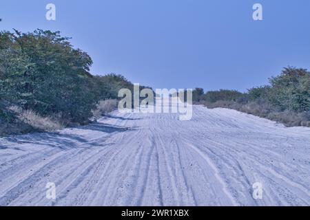 Eine Fernsicht auf eine Botswana Sandstraße ohne Fahrzeuge. Fahrzeugspuren sind im weichen Sand sichtbar. Stockfoto
