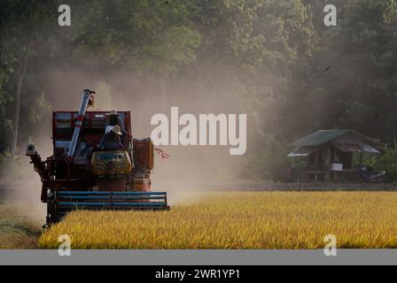 Bangkok, Thailand. März 2024. Ein Mähdrescher, der ein Reisfeld in der Provinz Nakhon Sawan nördlich von Bangkok erntete. (Credit Image: © Chaiwat Subprasom/SOPA Images via ZUMA Press Wire) NUR REDAKTIONELLE VERWENDUNG! Nicht für kommerzielle ZWECKE! Stockfoto