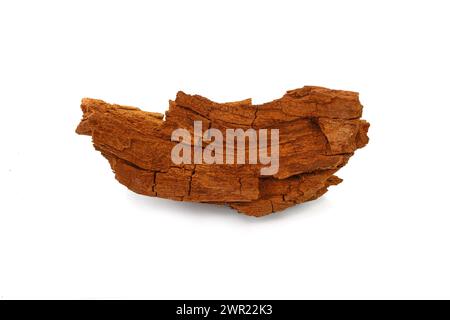 Dekorativer Teil aus rotem Holz isoliert auf weißem Hintergrund. Gerissenes trockenes rotes Holz als dekoratives Designelement. Stockfoto