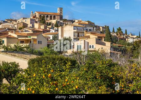 Villagescape von Selva mit gotisch-katholischer Pfarrkirche Església de Sant Llorenc und Orangenbäumen, Mallorca, Balearen, Spanien, Europa Stockfoto