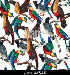 Nahtloses Muster mit Elster, Papageien und Tukanen. Vektor. Stock Vektor