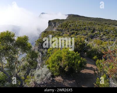 Ein schwindelerregender Fußweg am Rande des Berges, nach Grand Benare in Réunion Stockfoto