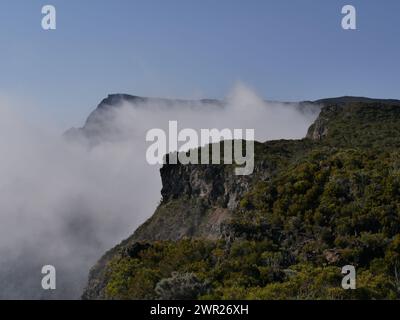 Auf dem Bergrücken, nach Grand Benare, Reunion Stockfoto