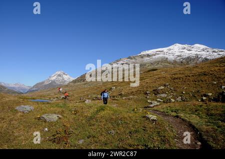 Herrliche und magische Bergregion Oberengadin in den Schweizer alpen |malerische und majestätische Oberengadiner Gebirgslandschaft beim Bernina Hospitz Stockfoto