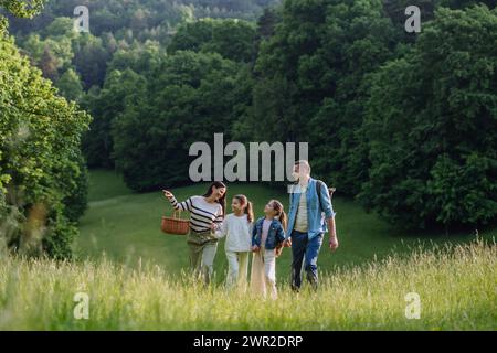 Die Familie läuft durch den Wald, geht durch die Wiese. Pilze sammeln, Kräuter sammeln, Blumen im Korb sammeln, Futter sammeln. Konzept des familiären ökologischen Hobbys in Stockfoto