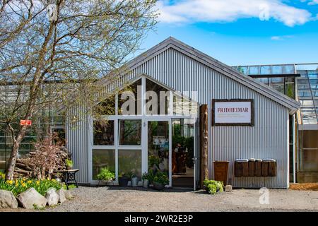 Fridheimar, Island - März 2024: Im Gewächshaus Tomatenfarm und Restaurant Stockfoto