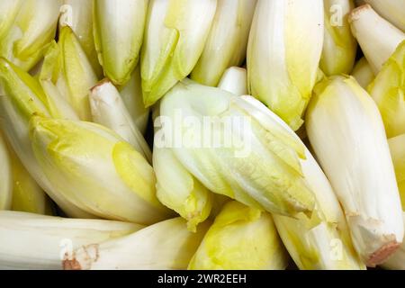 Nahaufnahme eines Stapels belgischer Endivien auf einem Marktstand. Stockfoto