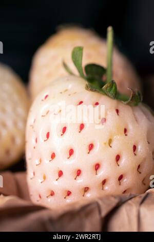 Nahaufnahme von weißen Perlenerdbeeren Stockfoto