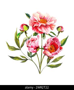 Aquarell Pfingstrose Blume Komposition in Pastellrosa und Pfirsichfarben mit Blumen, Knospen und grünen Blättern. Handgezeichnete Blumenillustration auf isoliert Stockfoto