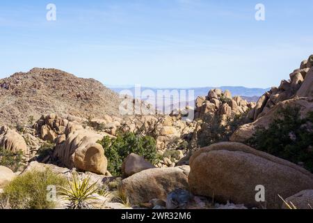 Malerische Aussicht auf Felsbrocken, Kakteen und Berge von der Eagle Cliff Mine Hütte im Joshua Tree National Park, Kalifornien Stockfoto