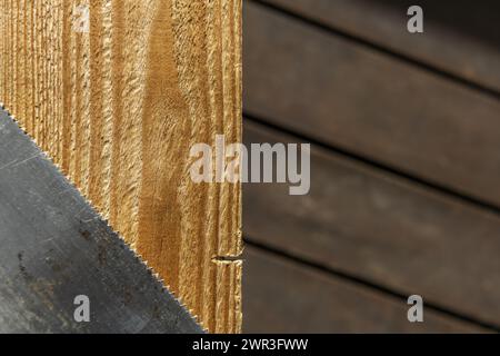 Gezackte Wirbelsäule einer Holzbearbeitungshandsäge neben einem Stück Holz mit einem geschnittenen Stück in einem Raum mit dunklen Holzböden Stockfoto