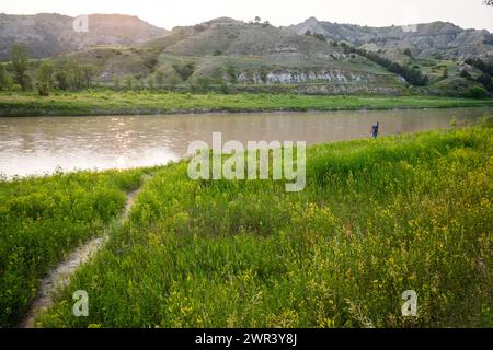 Man spaziert am Little Missouri River auf dem Cottonwood Campground im Theodore Roosevelt National Park, North Dakota, USA. Stockfoto