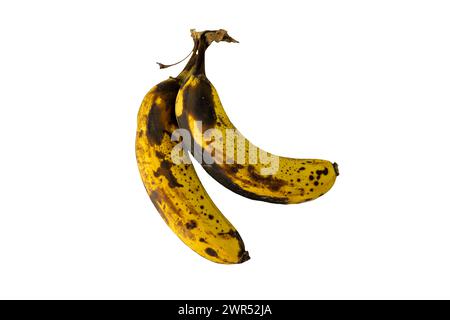 Alte und überreife Bananen auf einem isolierten weißen Hintergrund Stockfoto