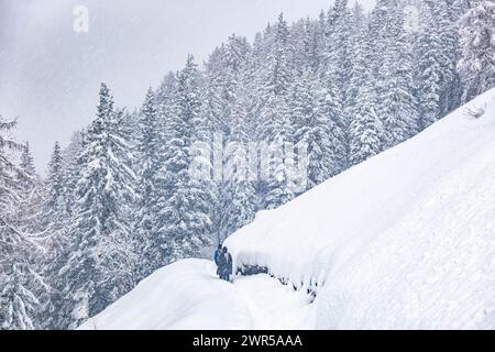 Trainieren Sie in den alpen bei Schneefall Stockfoto