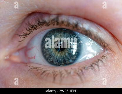 Makronahmebild des blauen Auges einer kaukasierin. Stockfoto