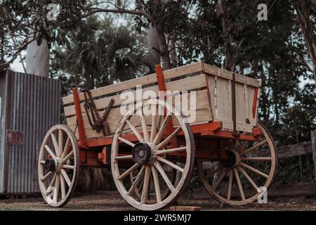 Ein Wagen, der von einem Pferd gezogen wird, das unter Bäumen neben einem Schuppen geparkt ist Stockfoto