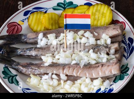 Roher Hering mit Gurken und Zwiebeln, dekoriert mit Duthflagge, typisch holländische Delikatesse Stockfoto