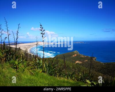 Ein malerischer Blick auf das Meer und der Strand von einem Hügel. Cape Reinga, Neuseeland Stockfoto