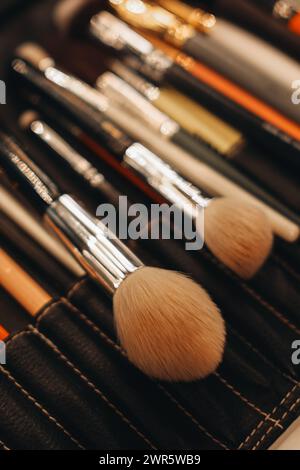 Verschiedene Make-up-Pinsel in einer schwarzen Ledertasche, Accessoires für Make-up-Künstler Stockfoto