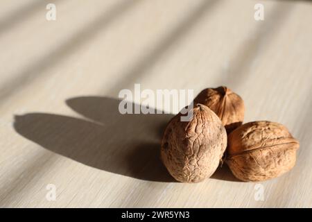 Drei Walnüsse stehen auf einem Leuchttisch in der Nähe eines Fensters im Haus Stockfoto