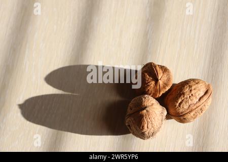 Drei Walnüsse stehen auf einem Leuchttisch in der Nähe eines Fensters im Haus Stockfoto