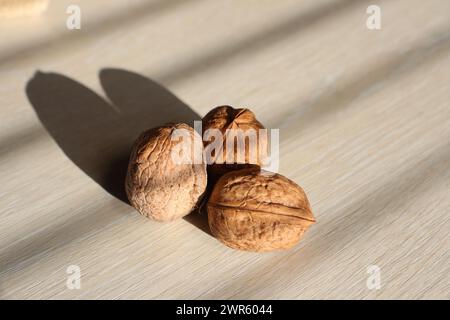 Drei Walnüsse stehen auf einem Leuchttisch in der Nähe eines Fensters im Haus Stockfoto