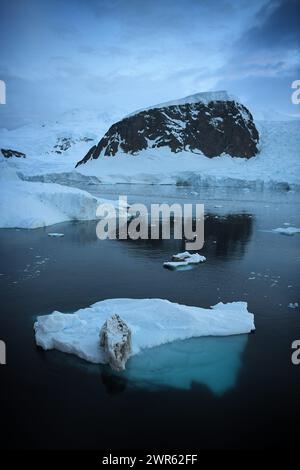 ©PHOTOPQR/VOIX DU NORD/PIERRE ROUANET ; 26/02/2024 ; ANTARKTIS, LE 26/02/2024. Croisiere dite d'Expedition vers le Continent blanc, la peninsule Antarctique (Kontinent austral, Pole Sud, Antarktis, Südpol, Glace, Banquise, Iceberg), au dela du cercle polaire, par l'operateur touristique francais Exploris (membre de l'IAATO tourisme Responsable). Arrivee sur la peninsule Antarctique apres deux jours et demi de haute mer. Neko Harbour, en Terre de Graham. FOTO PIERRE ROUANET LA VOIX DU NORD Feb 2024 sogenannte Expeditionsfahrt auf den weißen Kontinent, die antarktische Halbinsel (südlich Stockfoto