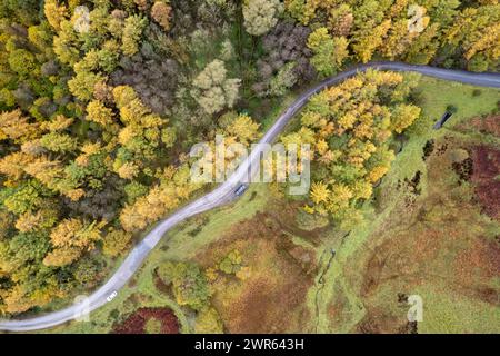 Einspurige Straße, die sich im Herbst durch einen abgelegenen Wald schlängelt, von oben gesehen. Cumbria, Großbritannien. Stockfoto