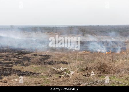 MYKOLAIV Reg, UKRAINE - 2. März 2024: Krieg in der Ukraine. Knochen toter Tiere sind in brennendem Gras am Rande des Dorfes in der Region Mykolaiv zu sehen Stockfoto