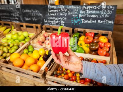 Frisches Obst und Gemüse in einem Geschäft Stockfoto