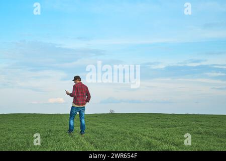 Rückansicht eines männlichen Landwirts, der auf dem Weizensämling-Feld steht und ein mobiles Smartphone verwendet, selektiver Fokus Stockfoto