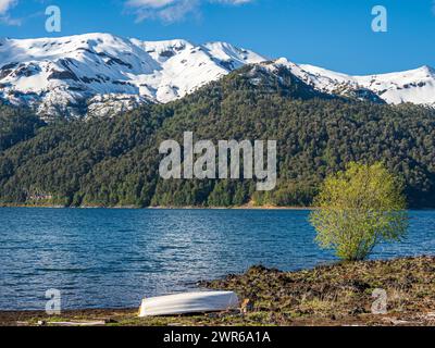 Araucaria Wald auf Hügeln am See Conguillio, Boot on Shore, Conguillio Nationalpark, Chile Stockfoto