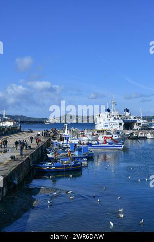 Der kleine Hafen einer Stadt in der Nähe von Neapel in Kampanien. Stockfoto