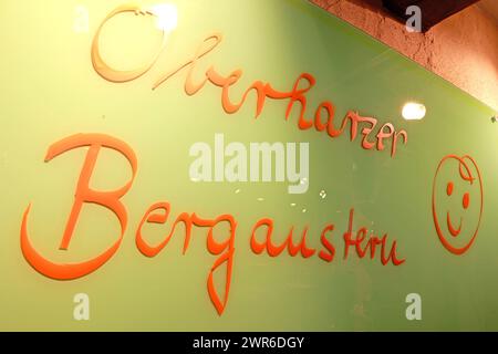 Tanne, Deutschland. März 2024. Ein Schild mit der Aufschrift „Oberharzer Bergaustern“ hängt im Speisesaal des Restaurants Brockenbauer in Tanne. Bullenhoden werden hier bald als Delikatesse angeboten. Die neue Delikatesse wird bald auf der Speisekarte des Restaurants stehen. Brockenbauer Thielecke in Tanne vermarktet fast hundert Prozent seiner Rinder. Mit den Bullenhoden haben sie eine ungewöhnliche Spezialität geschaffen, die als Bergaustern serviert wird. Quelle: Matthias Bein/dpa/Alamy Live News Stockfoto