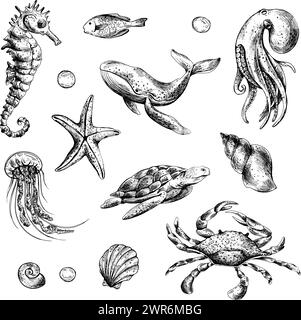 Unterwasserwelt Clipart mit Meerestieren Wal, Schildkröte, Kraken, Seestern, Seesternen, Muscheln, Korallen und Algen. Handgezeichnete grafische Abbildung Stock Vektor