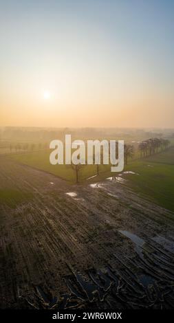 Porträt eines stillen Ackerlandes bei Sonnenaufgang, wo Tau auf Feldern glitzert und Silhouetten von Bäumen vor dem sanften Sonnenlicht stehen. Sonnenaufgang über einem Dewy Farmland: Ein Porträt der frühen Morgenlandwirtschaft. Hochwertige Fotos Stockfoto