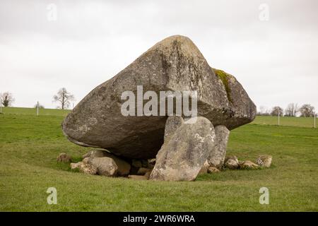 Brownshill Dolmen Portal Tomb, County Carlow, Irland Stockfoto