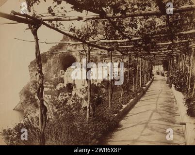 Italien, anonym, ca. 1880 - ca. 1910, fotografischer Träger, Albumendruck, Höhe 300 mm x Breite 200 mm, Fotografie Stockfoto