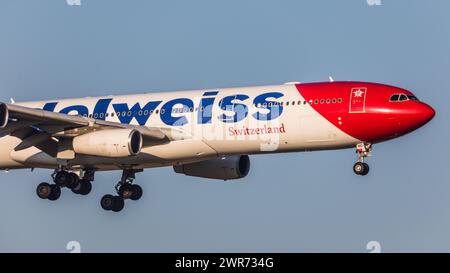 Zürich, Schweiz - 25. Januar 2022: Ein Airbus A340-300 von Edelweiss Air im Landeanflug auf den Flughafen Zürich. Registrierung HB-JMD. Stockfoto