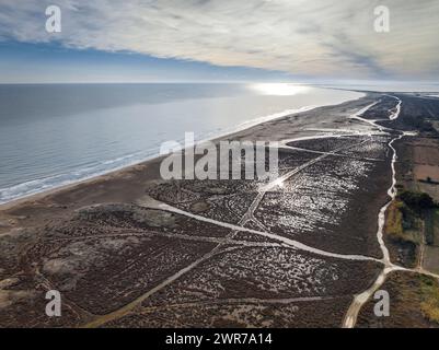 Luftaufnahme des Strandes Eucaliptus, im Ebro-Delta (Tarragona, Katalonien, Spanien) ESP: Vista aérea de la playa de los Eucaliptus, en el Delta del Ebro Stockfoto