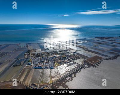 Luftaufnahme des Feuchtgebiets L'Encanyissada und des Dorfes Poblenou del Delta im Hintergrund an einem Wintermorgen (Tarragona, Katalonien, Spanien) Stockfoto