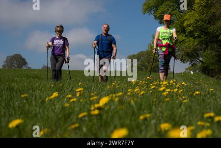 05/18 Rustick Nordic Walking Festival in Tissington, Derbyshire. Stockfoto