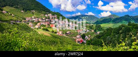 Berühmte Weinregion in Treviso, Italien. Valdobbiadene Hügel und Weinberge an der berühmten Prosecco-Weinstraße Stockfoto