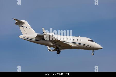 Ein Bombardier Challenger 650 von Orascom Aviation im Landeanflug auf den Flughafen Zürich. Registrierung T7-MASHI. (Zürich, Schweiz, 21.03.2022) Stockfoto