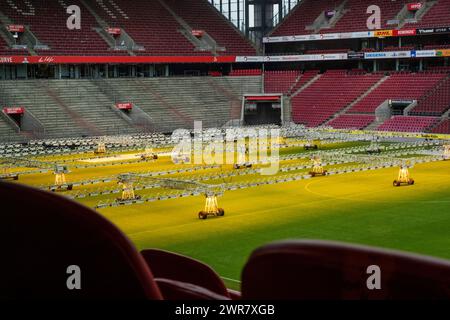 Das RheinEnergie Stadion ist eines der Stadien der Fußball-Europameisterschaft 2024. Das Stadionfeld wird mit künstlicher Beleuchtung gepflegt Stockfoto